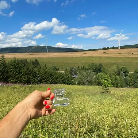 Cestar * Loučná pod Klínovcem